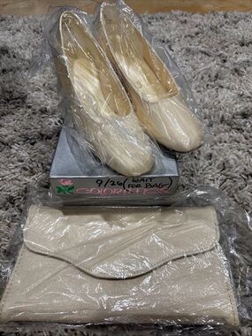 Coloriffics Satin Light Ivory Gold Vintage Pumps Chunky Heel & Matching Purse 7M